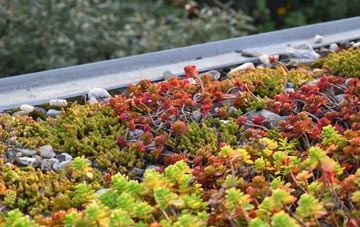 the cost of Blacksmiths Corner green roof installation