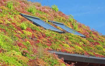 Blacksmiths Corner living roof systems