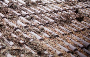 Blacksmiths Corner roof cleaning companies