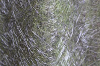 Blacksmiths Corner fibreglass roof work